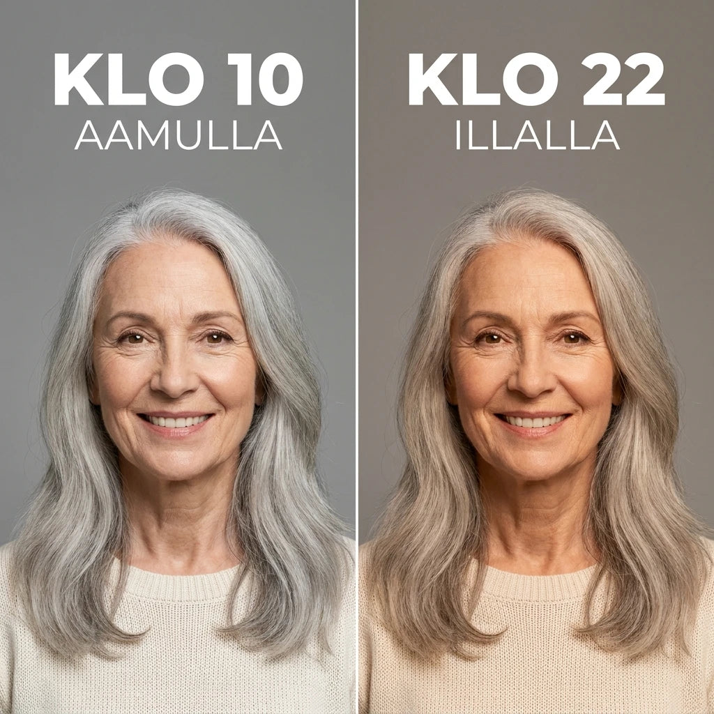 Kesto koko päivän
